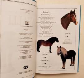 Cavalli. Guida illustrata a oltre 100 razze di cavalli di tutto il mondo di Elwyn Hartley Edwards Ed