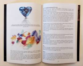 Diamanti & Finanza.Il diamante nella storia Gianni Bizzotto/Tiziano Dall'Omo 1°Ed.Espressioni, 2