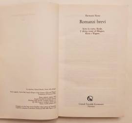 Romanzi brevi. Sotto la ruota, Knulp, Klein e Wagner di Hermann Hesse 1°Ed.Newton Compton, 1990