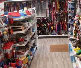 NEGOZIO  ANIMALI  :  ACCESSORI  DIELLE MIGLIORI MARCHE  &  TOLETTATURA                      -A M