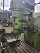 FRESA RAMBAUDI  A TESTA VELOCE