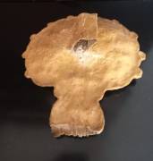 Coppia  Antiche  Conchiglie  Cartapesta Dorata . Sul retro  anello  originale  in tessuto . Piccole 