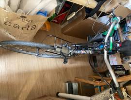 Bicilcletta uomo Bottecchia Elettrificata