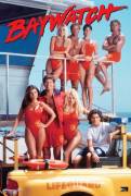 Baywatch serie tv anni 90-David Hasselhoff