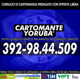 Consulto completo telefonico con offerta libera