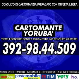 Consulto completo telefonico con offerta libera