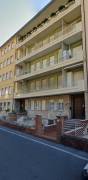 Trilocale Alassio in affitto per vacanze