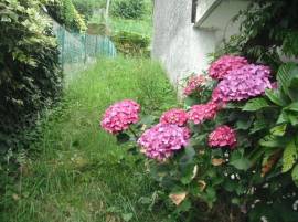 Casa Lago Orta ottima vista giardino privato soleggiata tra Orta Omegna zona tranquilla non isolata