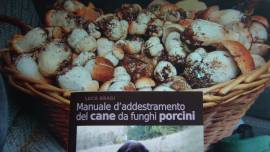 L'addestramento del cane da funghi porcini