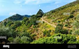 VACANZA SCARIO (CILENTO) A LUGLIO. 