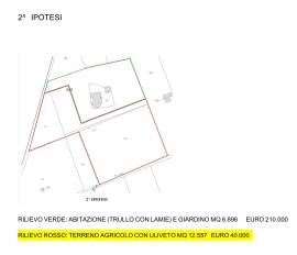 TERRENO AGRICOLO CON ULIVI