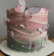 corso aerografia pasticceria - painting - cake designer