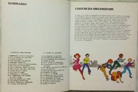 Giochi all’aria aperta Ed.Arnoldo Mondadori, 1976: Collana: Il club delle giovani marmotte