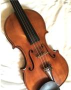 Violino lapo casini