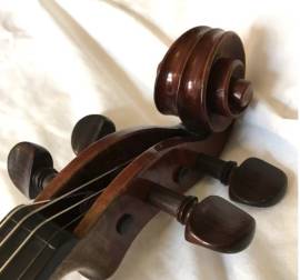Violino lapo casini