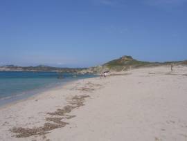 Sardegna affito Rena Majore villetta pineta mare, mese Agosto.