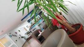 Vacanze al mare a Rimini