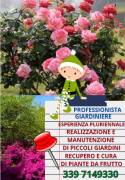 Giardiniere professionista esperto 