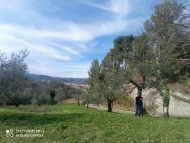 Martino di Ascoli piceno Marche cerca donna italiana per relazione seria.