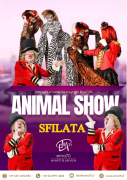 ANIMAL SHOW - SIMPATICA - ANIMAZIONE PER TUTTA LA FAMIGLIA EMA 70 EVENTI - EVENTI DI PIAZZA - EVENTI