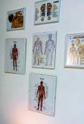 Studio Massaggi Wellness Dott Mario Orfila Messina 