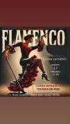 TECNICA DE PIES FLAMENCO