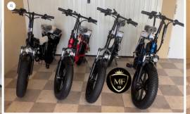 FAT BIKE MOTORE 500 WATT BATTERIA LG A LITIO 48V 16ah 699Wh