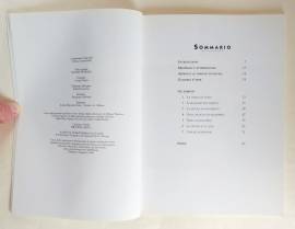 Figura.Una guida illustrata facile e completa alle tecniche e ai materiali di Patricia Monahan e Alb