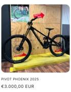 PIVOT PHOENIX 2025