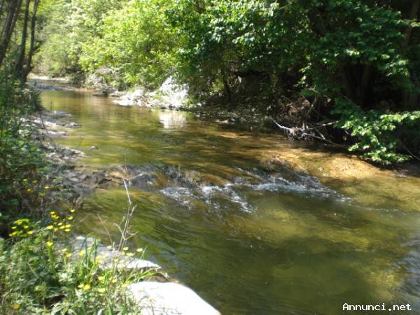 Rustico ex mulino in sassi vic.ze ruscello con terreno 3 ettari
