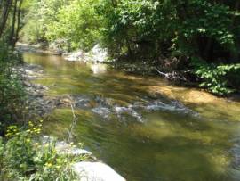 Rustico ex mulino in sassi vic.ze ruscello con terreno 3 ettari 