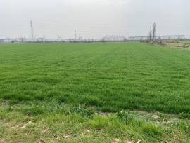 Rustico indip.  da ristrut. con 8.5 ettari di terreno a Baganzola 