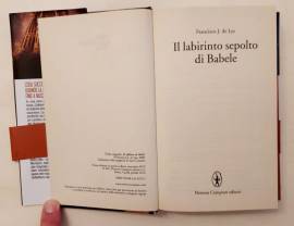 Il labirinto sepolto di Babele di Francisco J.de Lys 1°Ed.Newton Compton Editori, settembre 2012