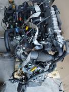 Motore Citroen Berlingo 2.0 HDI RHY (imp Siemens)