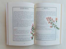 La medicina dei semplici ovvero come si usano erbe officinali, piante, fiori e frutti