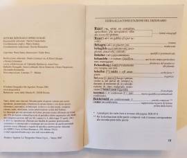 Dizionario Tedesco -Italiano e viceversa con CD ROM Ed.De Agostini, 2007
