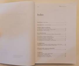 L’annuario del lavoro 2008 di Mascini Massimo Ed. Il Diario del Lavoro, 2008 come nuovo L’annuario del lavoro 2008 di Mascini Massimo Ed. Il Diario del Lavoro, 2008 come nuovo