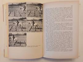 Andare a cavallo. Guida pratica per tutti di Luigi Gianoli Ed.Longanesi & C. novembre, 1974 Andare a cavallo. Guida pratica per tutti di Luigi Gianoli Ed.Longanesi & C. novembre, 1974