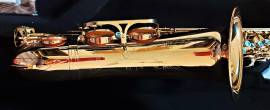 Sax Tenore SELMER SA 80 Style finitura Galvanica Gold Ex Demo Perfetto (Garanzia) Sax Tenore SELMER SA 80 Style finitura Galvanica Gold Ex Demo Perfetto (Garanzia)