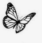 CARTOMANZIA