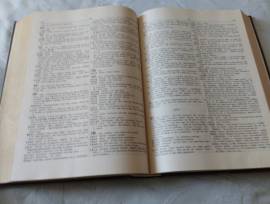 Dizionario cinese italiano 