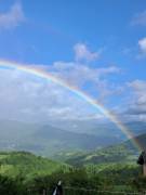Amicizia virtuale fra maturi impegnati 
