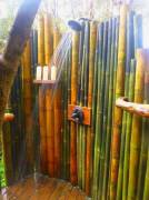 Vendo canne di bambù bambu con diametro da 1 cm. fino a 10 cm. 