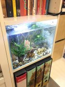 Acquario Smart completo per libreria Ikea Billy