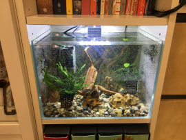 Acquario Smart completo per libreria Ikea Billy