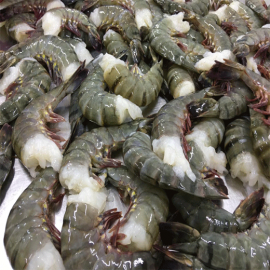 Forniture di pesce del Vietnam || Approvvigionamento di frutti di mare vietnamiti