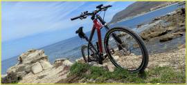 Bicicletta Cannondale Taurine MTB 26 Total Carbon Dischi Magura