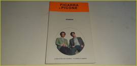 Libro Ficarra e Picone Stanchi