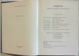 Padova - Guida ai monumenti e alle opere d'arte di Checchi, Gaudenzio, Grossato; 1°Ed.Neri Pozza, Ve