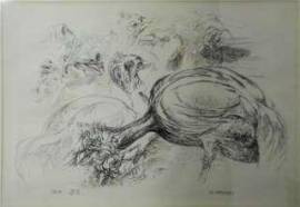 OPERE D’ARTE VARIE